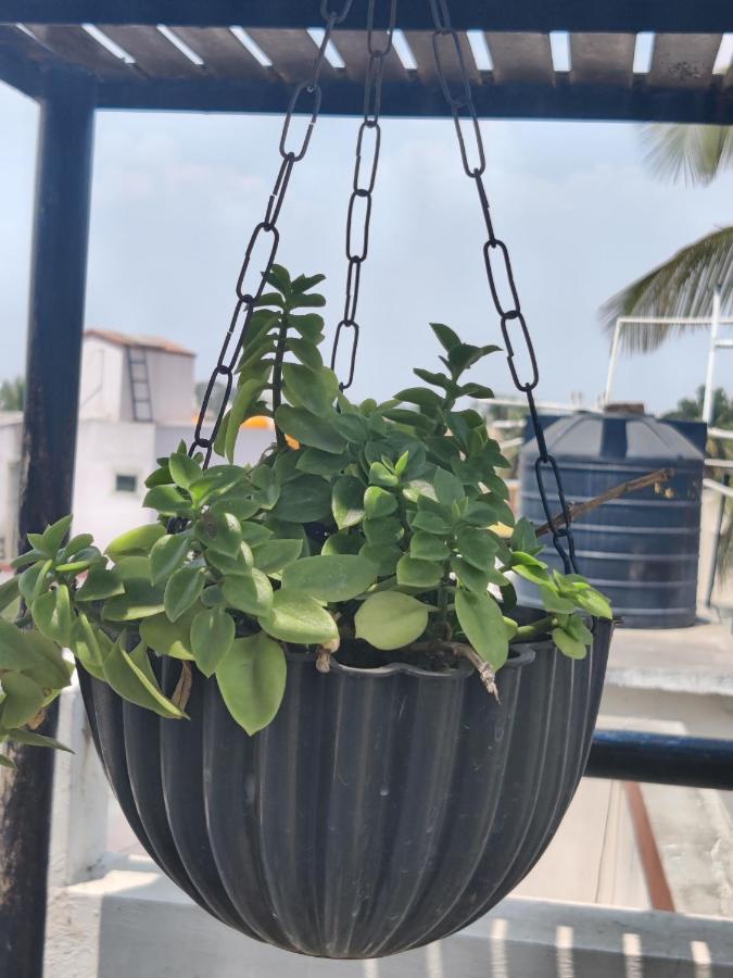 Yoga House Apartman Vanivilasa Puram Kültér fotó